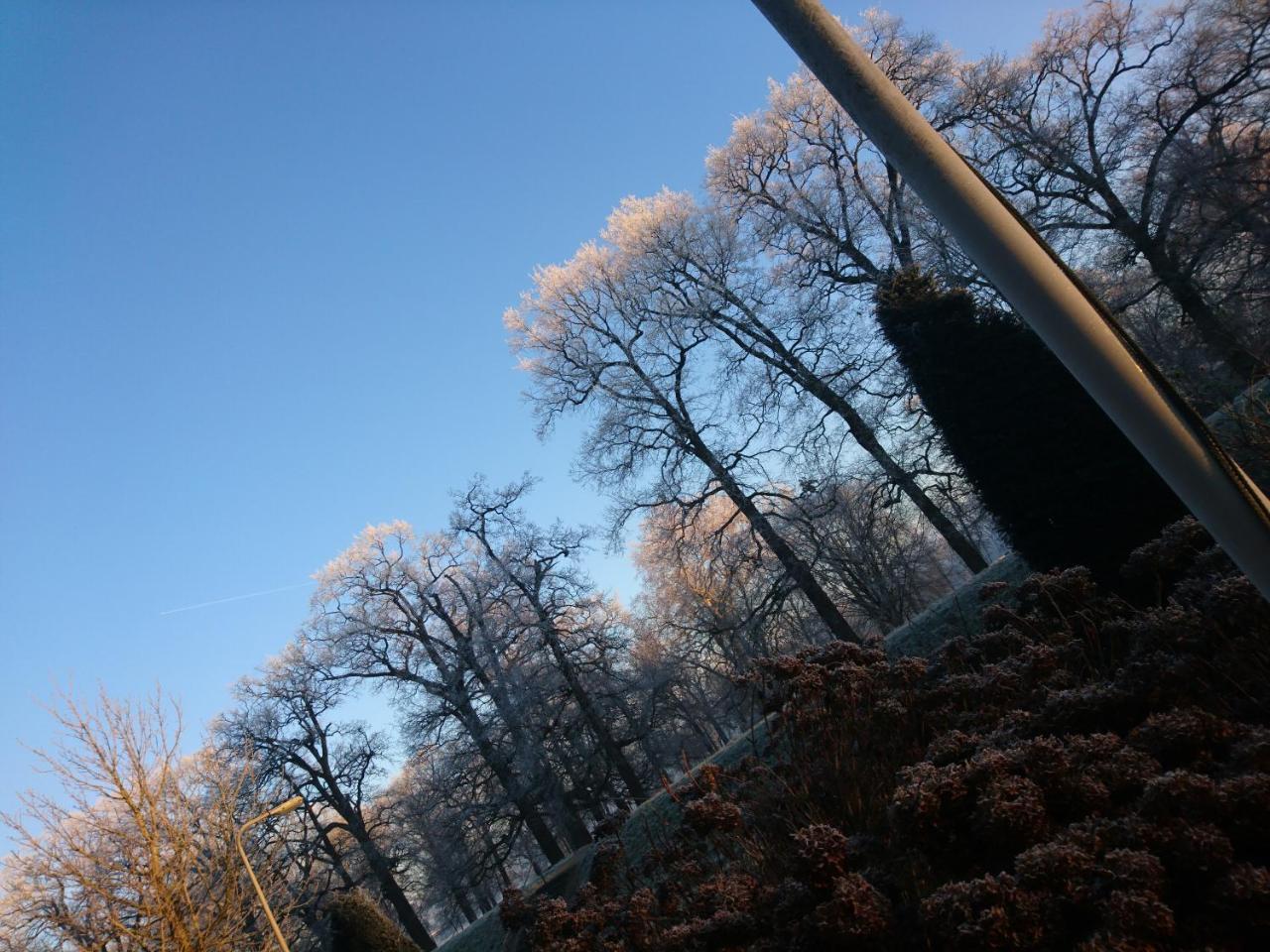 Deventer Heritage En Boutique B&B Museumhuis Huize "De Worp" Esterno foto
